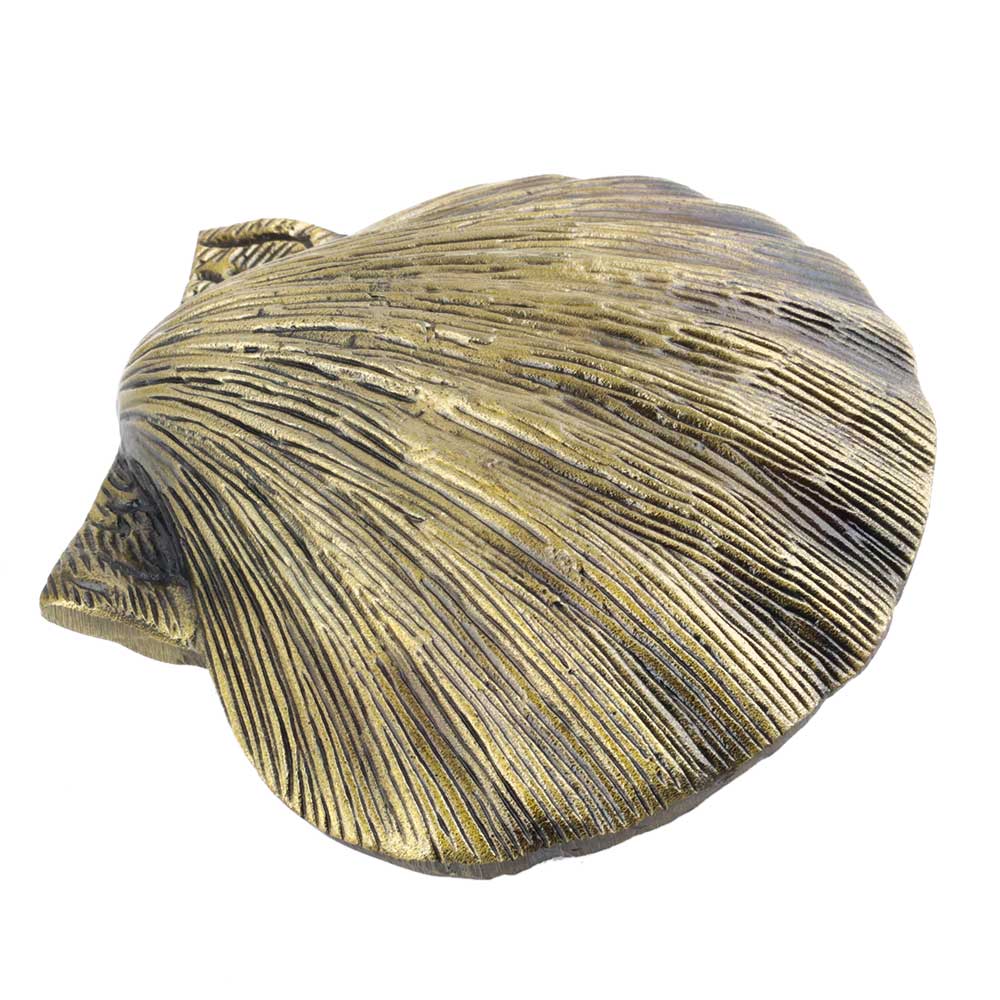 Shelly Seashell Door Knocker